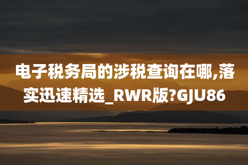 电子税务局的涉税查询在哪,落实迅速精选_RWR版?GJU86