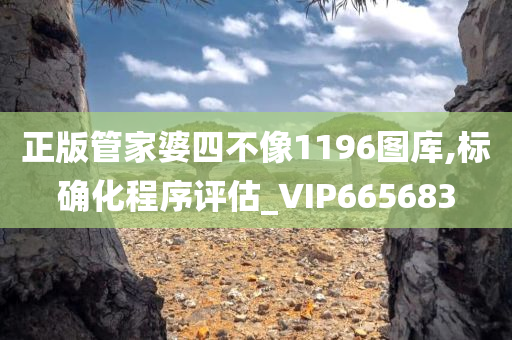 正版管家婆四不像1196图库,标确化程序评估_VIP665683