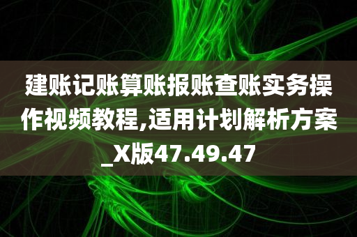 建账记账算账报账查账实务操作视频教程,适用计划解析方案_X版47.49.47