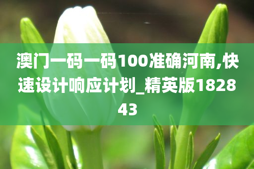 澳门一码一码100准确河南,快速设计响应计划_精英版182843