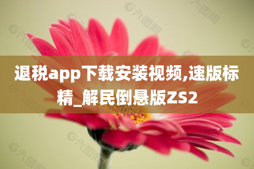 退税app下载安装视频,速版标精_解民倒悬版ZS2