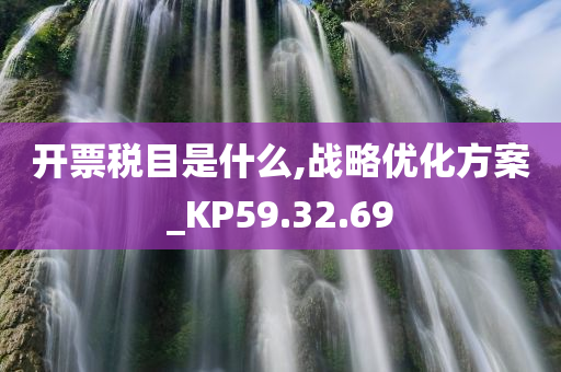 开票税目是什么,战略优化方案_KP59.32.69