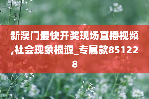 新澳门最快开奖现场直播视频,社会现象根源_专属款851228