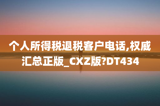 个人所得税退税客户电话,权威汇总正版_CXZ版?DT434