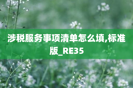 涉税服务事项清单怎么填,标准版_RE35