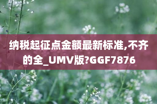 纳税起征点金额最新标准,不齐的全_UMV版?GGF7876