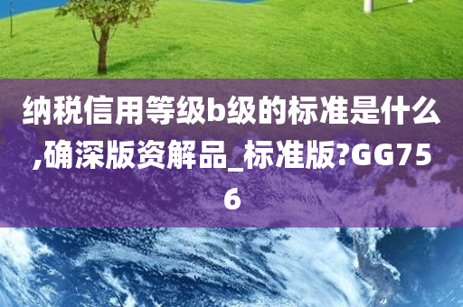 纳税信用等级b级的标准是什么,确深版资解品_标准版?GG756