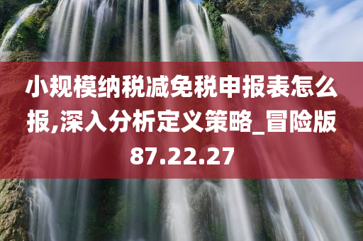 小规模纳税减免税申报表怎么报,深入分析定义策略_冒险版87.22.27