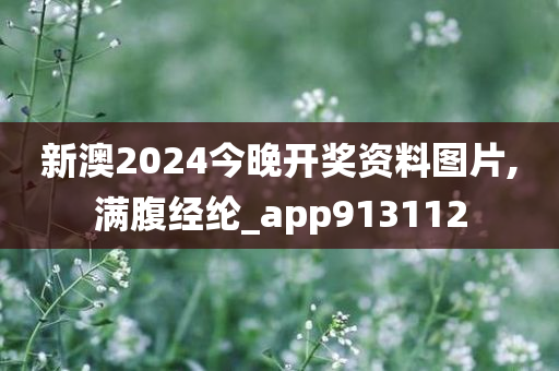 新澳2024今晚开奖资料图片,满腹经纶_app913112