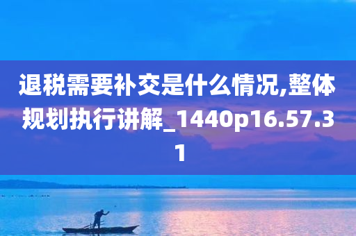 退税需要补交是什么情况,整体规划执行讲解_1440p16.57.31