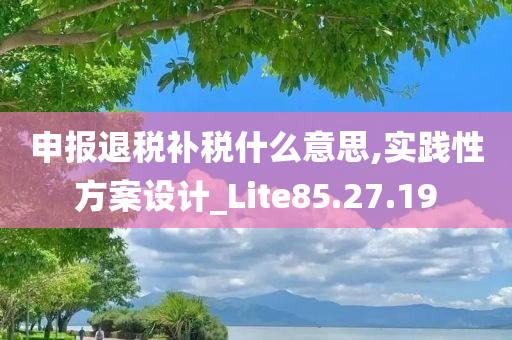 申报退税补税什么意思,实践性方案设计_Lite85.27.19