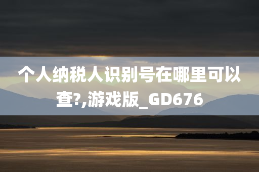 个人纳税人识别号在哪里可以查?,游戏版_GD676