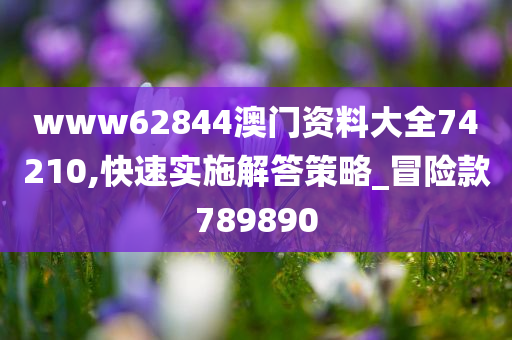 www62844澳门资料大全74210,快速实施解答策略_冒险款789890