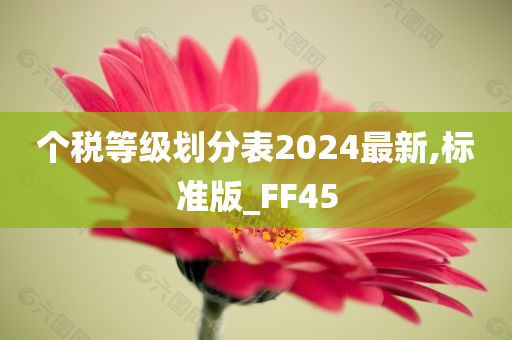 个税等级划分表2024最新,标准版_FF45