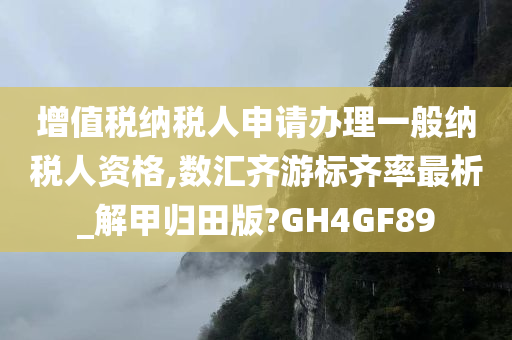 增值税纳税人申请办理一般纳税人资格,数汇齐游标齐率最析_解甲归田版?GH4GF89