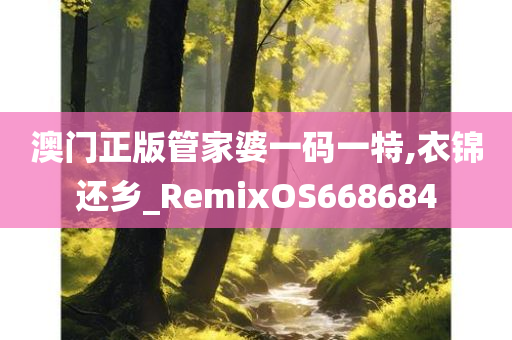 澳门正版管家婆一码一特,衣锦还乡_RemixOS668684