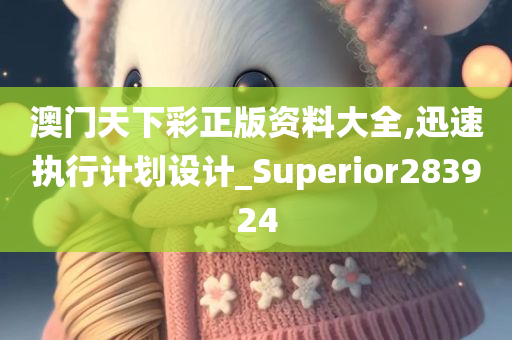 澳门天下彩正版资料大全,迅速执行计划设计_Superior283924