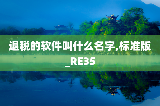 退税的软件叫什么名字,标准版_RE35