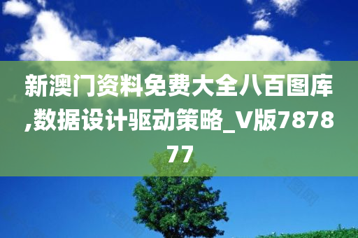 新澳门资料免费大全八百图库,数据设计驱动策略_V版787877