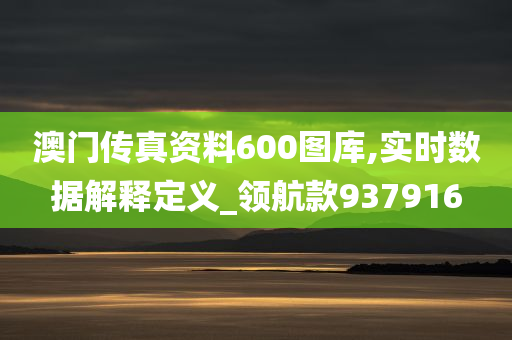 澳门传真资料600图库,实时数据解释定义_领航款937916