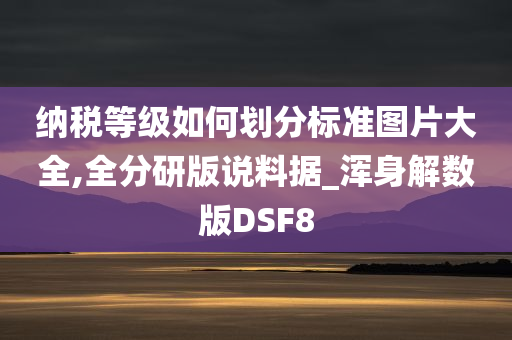 纳税等级如何划分标准图片大全,全分研版说料据_浑身解数版DSF8