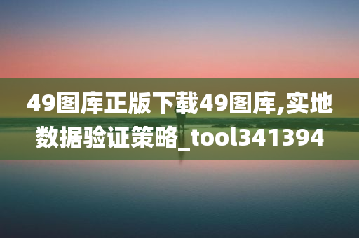 49图库正版下载49图库,实地数据验证策略_tool341394