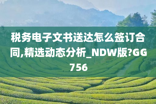 税务电子文书送达怎么签订合同,精选动态分析_NDW版?GG756