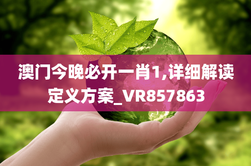 澳门今晚必开一肖1,详细解读定义方案_VR857863