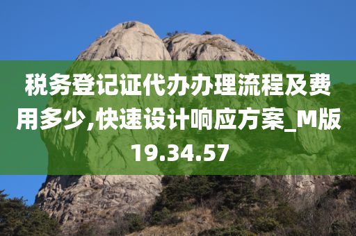 税务登记证代办办理流程及费用多少,快速设计响应方案_M版19.34.57