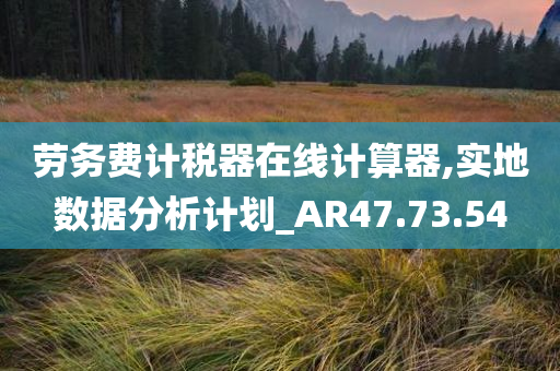 劳务费计税器在线计算器,实地数据分析计划_AR47.73.54