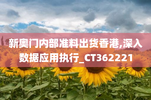 新奥门内部准料出货香港,深入数据应用执行_CT362221