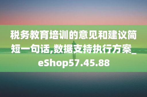 税务教育培训的意见和建议简短一句话,数据支持执行方案_eShop57.45.88