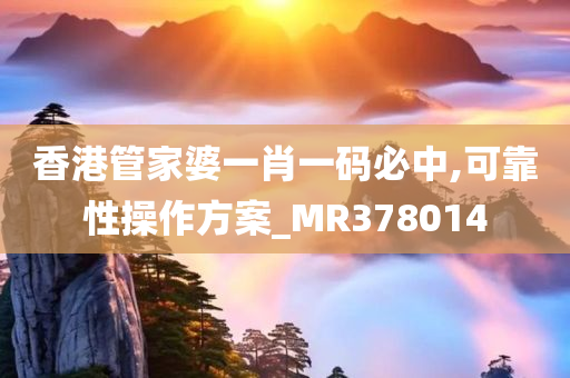 香港管家婆一肖一码必中,可靠性操作方案_MR378014