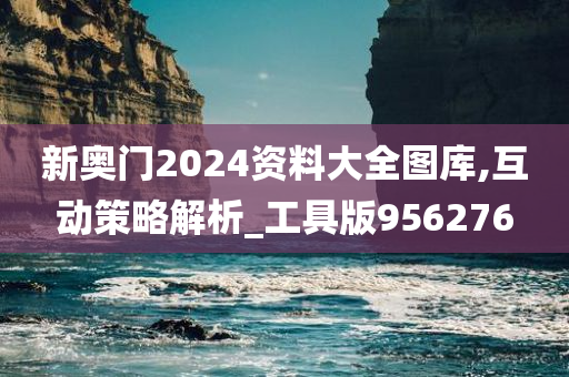 新奥门2024资料大全图库,互动策略解析_工具版956276