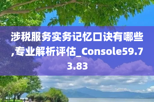 涉税服务实务记忆口诀有哪些,专业解析评估_Console59.73.83