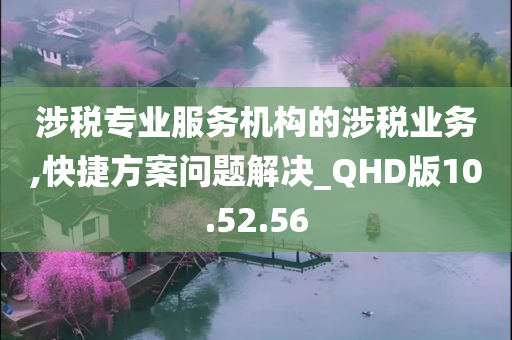 涉税专业服务机构的涉税业务,快捷方案问题解决_QHD版10.52.56