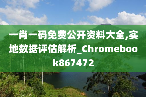 一肖一码免费公开资料大全,实地数据评估解析_Chromebook867472