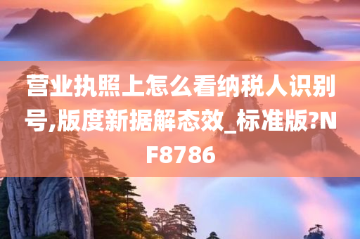 营业执照上怎么看纳税人识别号,版度新据解态效_标准版?NF8786