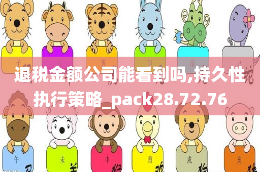 退税金额公司能看到吗,持久性执行策略_pack28.72.76