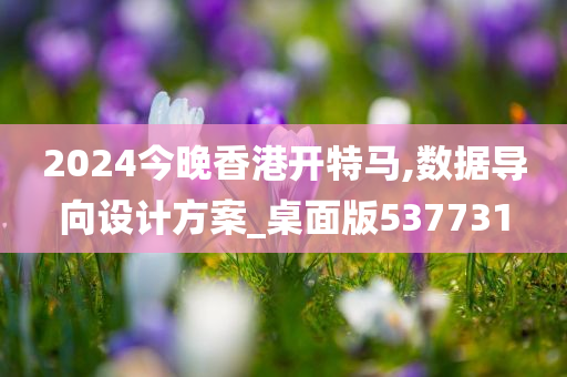 2024今晚香港开特马,数据导向设计方案_桌面版537731