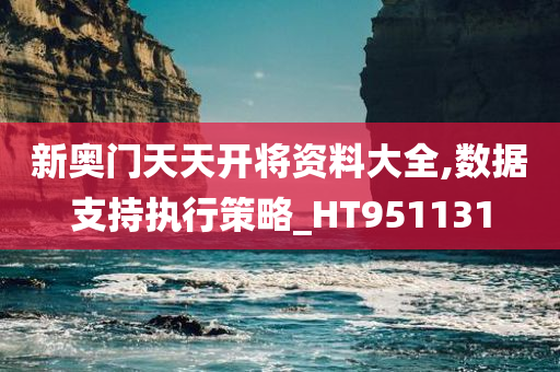 新奥门天天开将资料大全,数据支持执行策略_HT951131