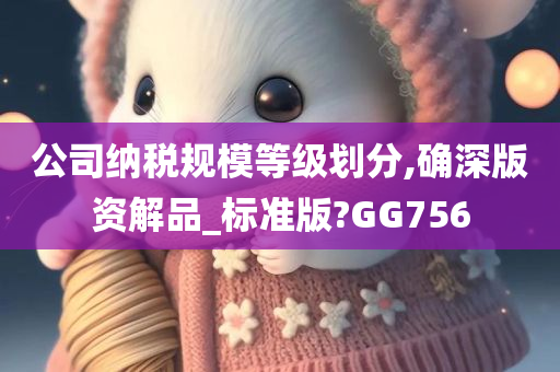 公司纳税规模等级划分,确深版资解品_标准版?GG756