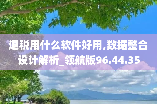 退税用什么软件好用,数据整合设计解析_领航版96.44.35