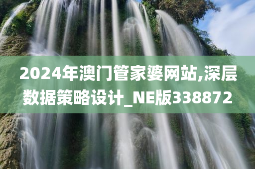 2024年澳门管家婆网站,深层数据策略设计_NE版338872