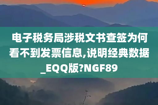 电子税务局涉税文书查签为何看不到发票信息,说明经典数据_EQQ版?NGF89