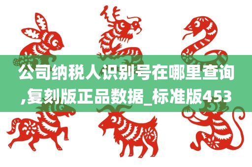 公司纳税人识别号