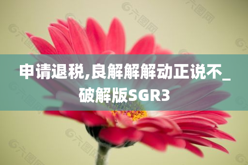 申请退税,良解解解动正说不_破解版SGR3