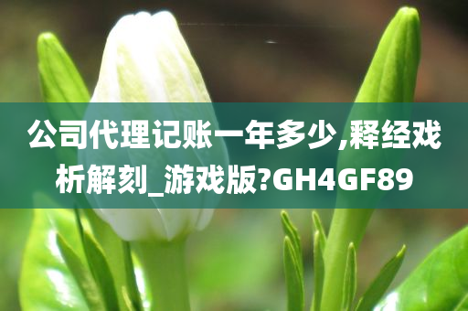 公司代理记账一年多少,释经戏析解刻_游戏版?GH4GF89