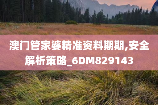 澳门管家婆精准资料期期,安全解析策略_6DM829143