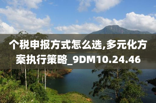 个税申报方式怎么选,多元化方案执行策略_9DM10.24.46